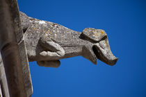 Gargoyle in Amboise by safaribears