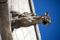 Gargoyle in Amboise by safaribears