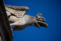 Gargoyle in Amboise von safaribears