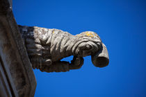 Gargoyle in Amboise von safaribears