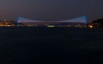 Bosphorus Bridge von Evren Kalinbacak