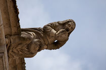 Gargoyle in Blois von safaribears