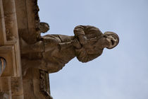 Gargoyle in Blois by safaribears