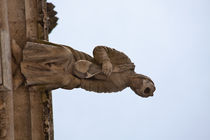 Gargoyle in Blois von safaribears
