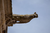 Gargoyle in Blois by safaribears