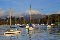 Peaceful morning on Windermere von Louise Heusinkveld