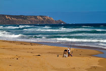 Surf Fishing on Gunnamatta Beach von Louise Heusinkveld