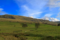 Mallerstang Dale in Cumbria UK von Louise Heusinkveld