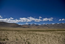 Around Tsokar Lake, Spiti Valley, INDIA by Alessia Travaglini