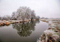 Icy reflections von Graham Prentice