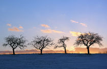 Sonnenuntergang im Winter von Wolfgang Dufner