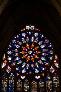 Stained-glass Window von safaribears