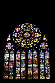 Stained-glass Window von safaribears