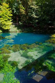 Blautopf by safaribears