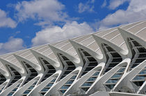 Valencia, Museo de las Ciencias 3 von Frank Rother