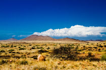 Am Rande der Namib by Jürgen Klust