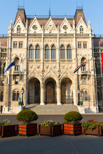 Hungarian Parliament Building von Evren Kalinbacak
