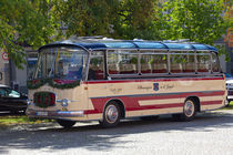 50s Bus von safaribears
