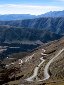 Of Argentina... von Daniel Zrno