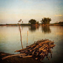 Riverbank by Stefan Nielsen