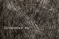 Remember me von axel haudiquet