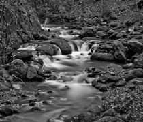 Alva Burn, Clackmannanshire BW von Buster Brown Photography