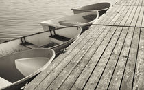 Sepia dinghys. von John Greim