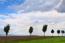 Rainbow by Wolfgang Dufner