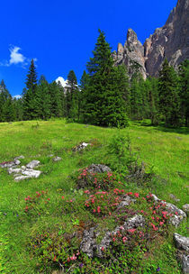 Alpen by Wolfgang Dufner