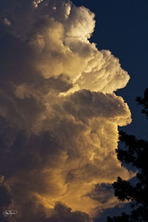 Summer Storm over Georgia von Cris  Hayes