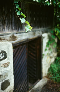 Cellar's Gates von Razvan Anghelescu