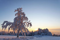 Sonnenuntergang in Winterlandschaft von Wolfgang Dufner