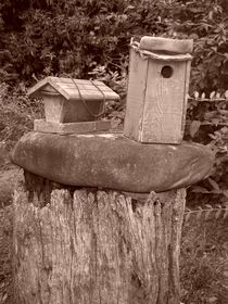 Rustic Bird Houses von Rebecca Ledford