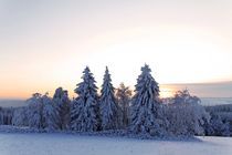 Winterwald und Sonnenuntergang von Wolfgang Dufner