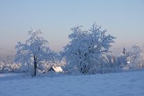 Winterlandschaft von Wolfgang Dufner