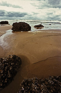 Normandy beach 12 by Razvan Anghelescu