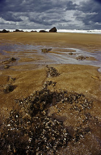 Normandy beach 7 by Razvan Anghelescu