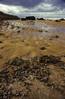 Normandy beach 6 by Razvan Anghelescu