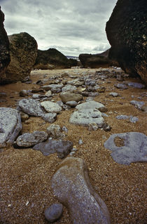 Normandy beach 1 von Razvan Anghelescu