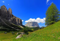 Blumenwiese in den Dolomiten von Wolfgang Dufner