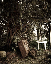 old wheelbarrow in a garden by George Panayiotou