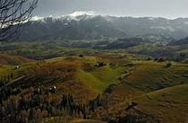 Countryside 3 by Razvan Anghelescu