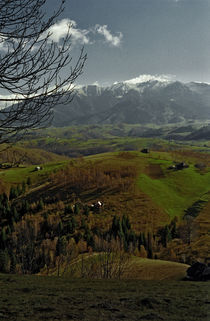 Countryside 2 by Razvan Anghelescu