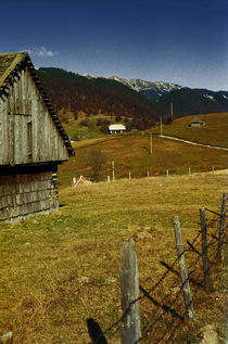 Countryside 1 von Razvan Anghelescu