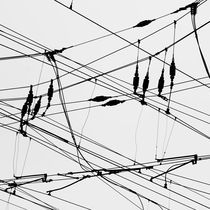 Electric web by Jaromir Hron