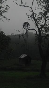 Windmill in the Mists von Joel Furches