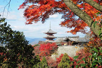 Kiyomizu temple in Autumn color by Danita Delimont