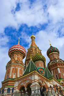 Basil's Cathedral von Danita Delimont