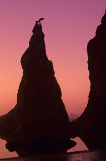 Rialto Beach at sunset by Danita Delimont