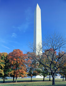 National Mall by Danita Delimont